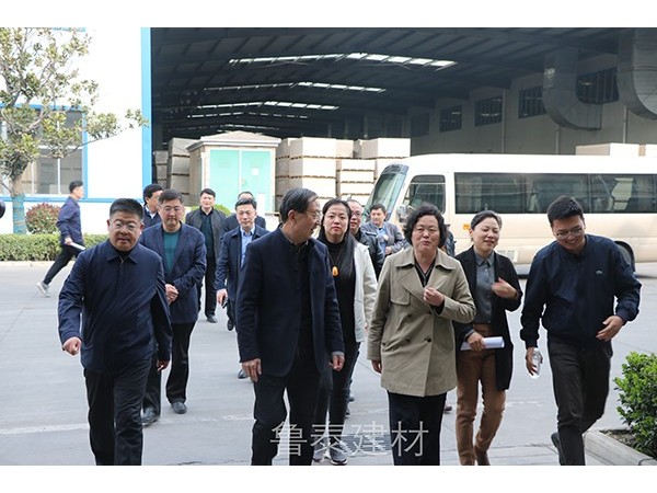 中國建筑學(xué)會科技服務(wù)團蒞臨魯泰建材考察指導(dǎo)